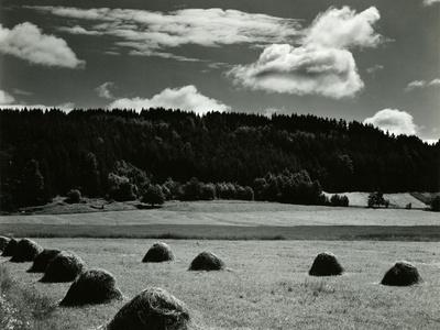 Photographic Print, , small