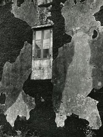 Photographic Print, , small