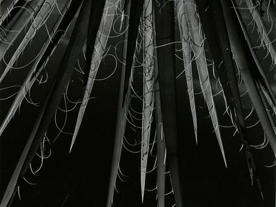 Photographic Print, , small