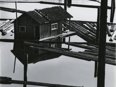 Photographic Print, , small