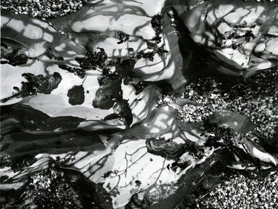 Photographic Print, , small