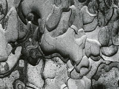 Photographic Print, , small