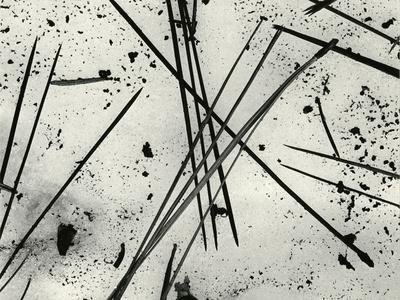 Photographic Print, , small