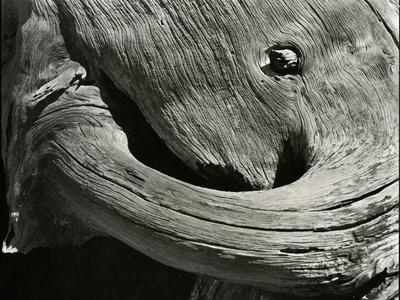 Photographic Print, , small