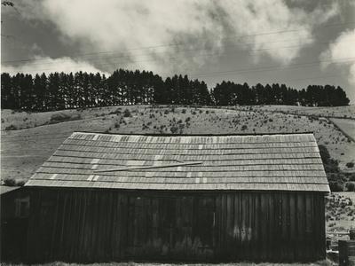 Photographic Print, , small