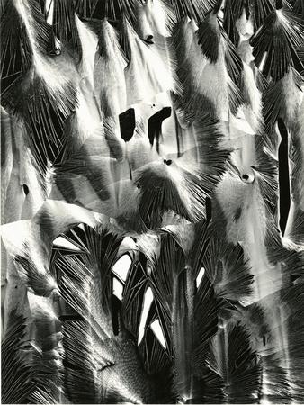 Photographic Print, , small
