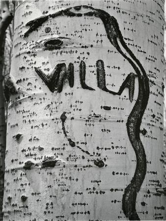Photographic Print, , small