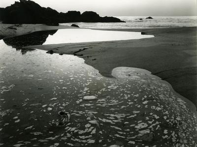 Photographic Print, , small