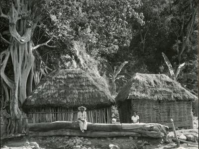 Photographic Print, , small
