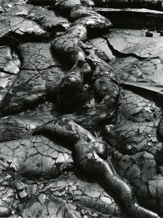 Photographic Print, , small