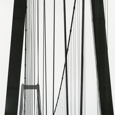Photographic Print, , small