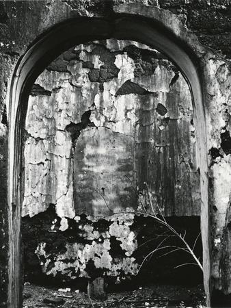 Photographic Print, , small