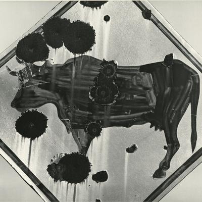 Photographic Print, , small