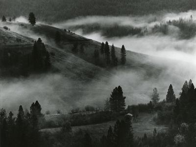 Photographic Print, , small