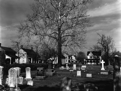 Photographic Print, , small