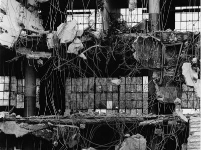 Photographic Print, , small