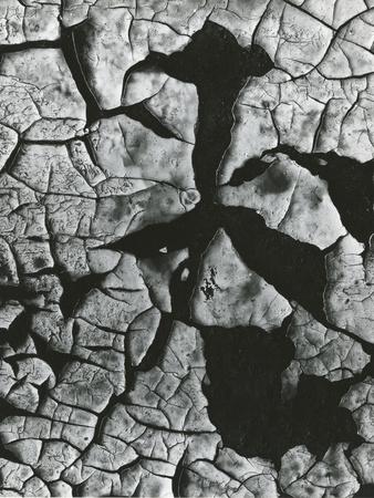 Photographic Print, , small