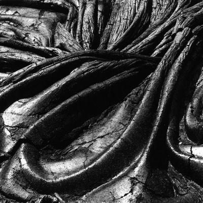 Photographic Print, , small