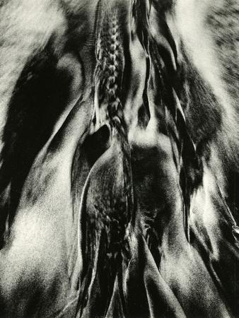 Photographic Print, , small