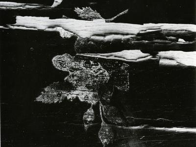 Photographic Print, , small