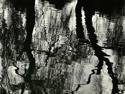 Photographic Print, , small
