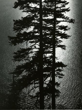 Photographic Print, , small