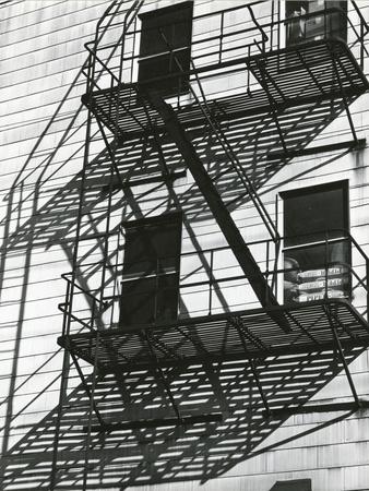 Photographic Print, , small