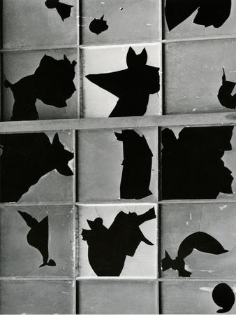 Photographic Print, , small