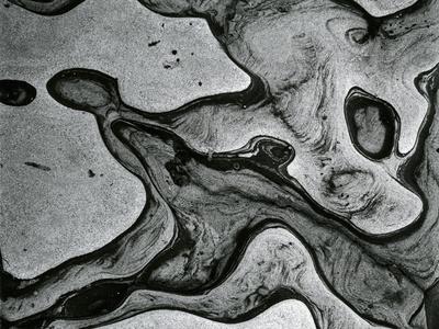 Photographic Print, , small