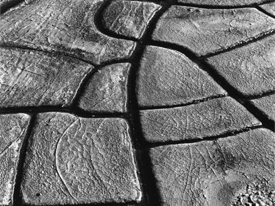 Photographic Print, , small