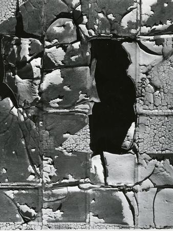 Photographic Print, , small