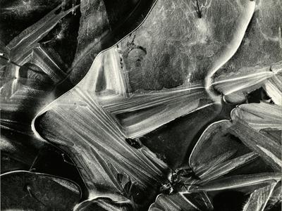 Photographic Print, , small
