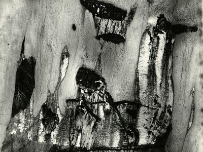 Photographic Print, , small