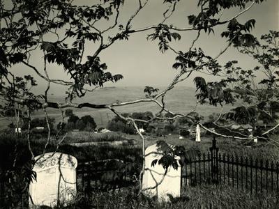 Photographic Print, , small