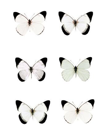 Photographic Print, , small