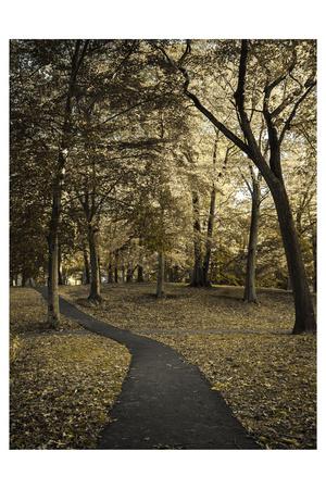 Photographic Print, , small