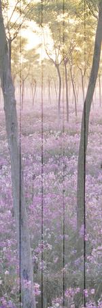 Photographic Print, , small