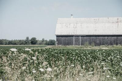 Photographic Print, , small