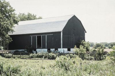 Photographic Print, , small