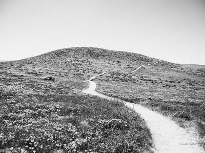 Photographic Print, , small