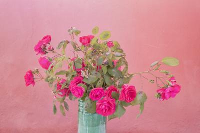 Photographic Print, , small