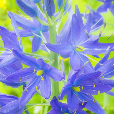 Photographic Print, , small