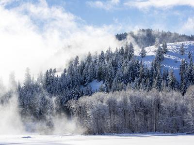 Photographic Print, , small