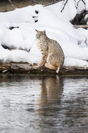 Photographic Print, , small