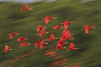 Photographic Print, , small