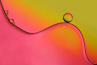 Photographic Print, , small