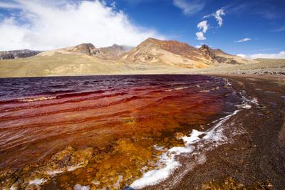 Photographic Print, , small