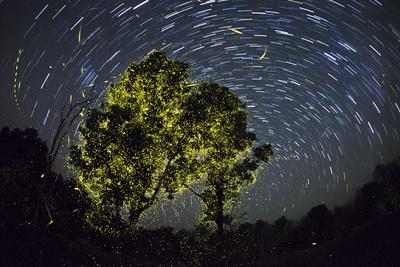 Photographic Print, , small