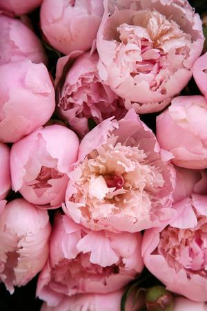 Photographic Print, , small