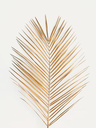 Photographic Print, , small
